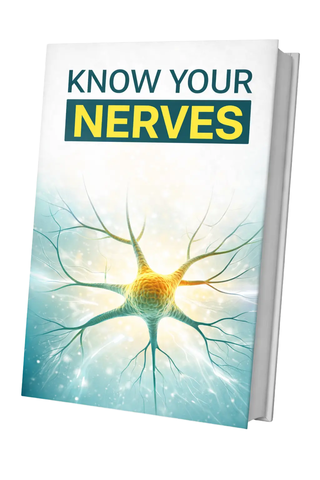 Bonus 2 - Know Your Nerves digital ebook free with NerveCell 6-bottle order